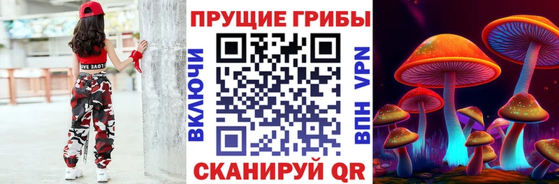 Купить где  Инсар  Галлюциногенные грибы прущие грибы 